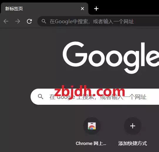 Google Chrome 123.0.6312.106便携增强版