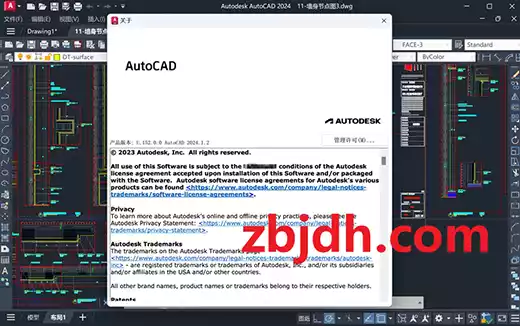 AutoCAD中文版v2025.0.0珊瑚海精简优化版